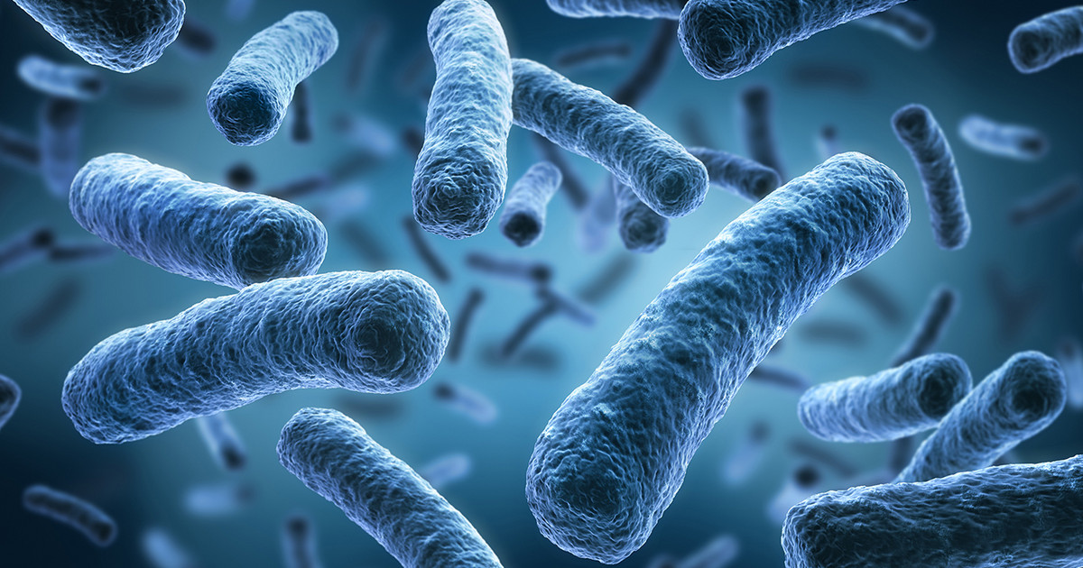 «Η-αντοχή-των-μικροβίων-θα-κάνει-την-πανδημία-να-μοιάζει…-ασήμαντη»,-λέει-βρετανίδα-επιστήμονας