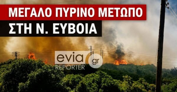 Δασική-πυρκαγιά-στην-Εύβοια:-Ήχησε-το-112-–-Ενισχύονται-συνεχώς-οι-δυνάμεις-στο-μέτωπο-της-φωτιάς