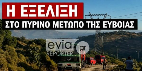 Από-το-μέτωπο-της-πυρκαγιάς-στη-Ν.-Εύβοια:-Τι-μεταφέρει-στο-eviareporter-ο-Γιώργος-Κελαϊδίτης-(βίντεο-φωτο)