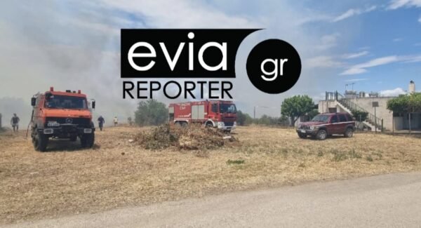 Μεγάλη-πυρκαγιά-στον-Άγιο-Μηνά-Χαλκίδας-–-Έκκληση-για-άμεση-ενίσχυση-με-εναέρια-μέσα