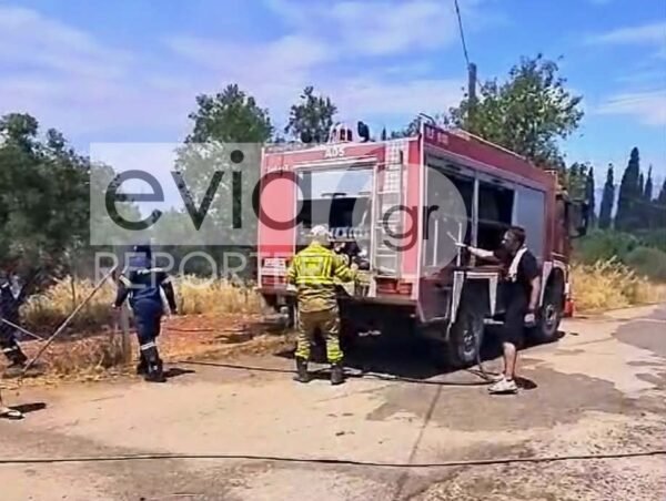Φωτιά-στον-Μπουρνώντα:-Βίντεο-και-φωτογραφίες-από-το-σημείο-–-Ισχυρές-δυνάμεις-στην-περιοχή