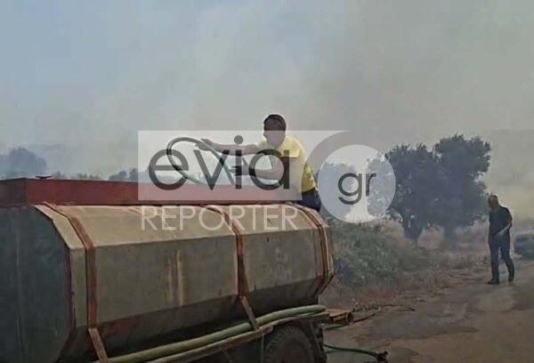 Υπό-έλεγχο-η-μεγάλη-φωτιά-στο-Αλιβέρι-–-Κάηκαν-ελαιώνες,-σώθηκαν-σπίτια-και-επιχειρήσεις