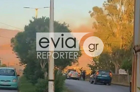 Κάρυστος:-Κοντά-σε-σπίτια-η-φωτιά-–-Ήχησε-το-112-για-απομάκρυνση-κατοίκων-(βίντεο)