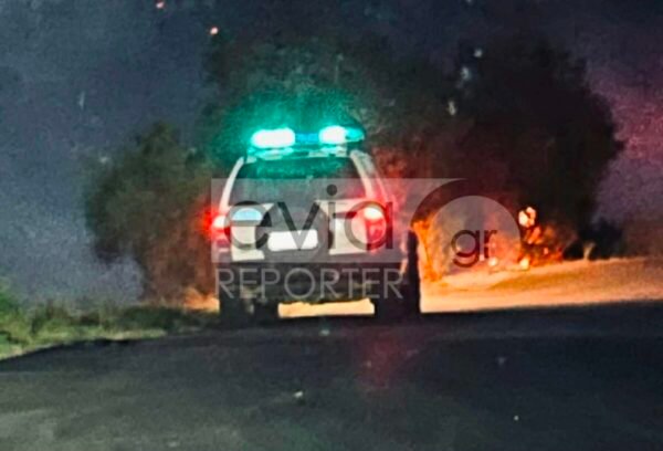 Σε-ύφεση-η-φωτιά-στον-Αετό-Καρύστου-–-Έκαψε-σπίτι-και-αυτοκίνητα-–-Σε-επιφυλακή-για-αναζωπυρώσεις-η-Πυροσβεστική-(Βίντεο-φωτο)