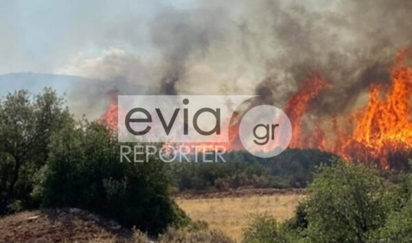 Οι-πρώτες-εικόνες-από-τη-φωτιά-στην-Κάρυστο:-Ισχυροί-άνεμοι-–-Κοντά-σε-σπίτια-οι-φλόγες
