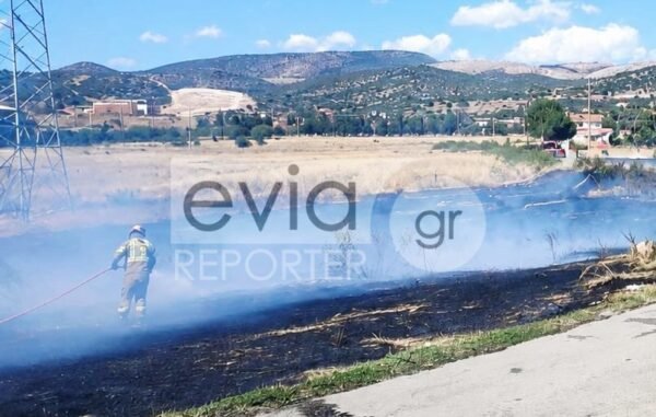 Υπό-έλεγχο-η-φωτιά-στον-Δοκό-Χαλκίδας-–-Άμεση-η-επέμβαση-της-Πυροσβεστικής