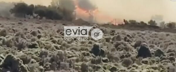 Συνελήφθη-63χρονη-για-τη-μεγάλη-πυρκαγιά-στη-Σκύρο-–-Υπό-έλεγχο-το-πύρινο-μέτωπο