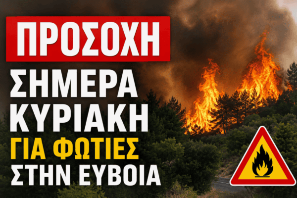 Εύβοια-σε-«κόκκινο-συναγερμό»-για-φωτιές:-Κλειστά-δάση-και-άλση-–-Πού-ισχύει-η-απαγόρευση
