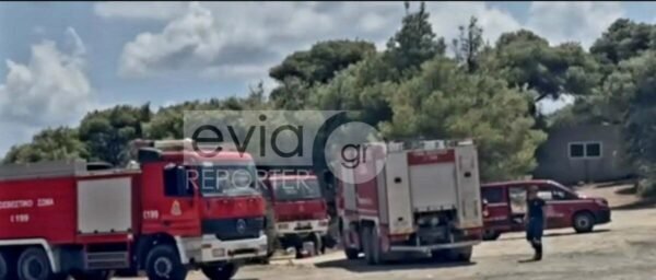 Σκύρος:-Στη-μάχη-με-τις-φλόγες-12-εναέρια-μέσα-–-Ενισχύθηκαν-οι-δυνάμεις-στην-Ατσίτσα