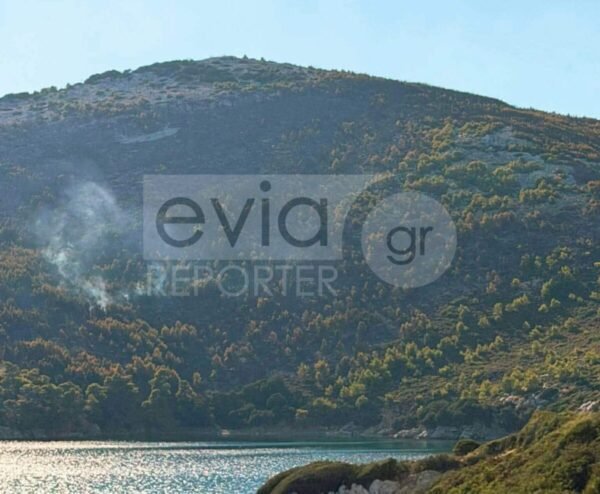 Σκύρος-–-Αναζωπύρωση:-Ρίψεις-από-εναέρια-μέσα