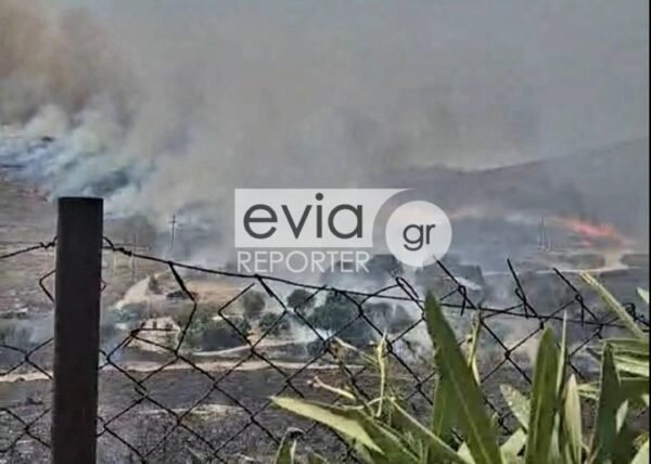 Φωτιά-τώρα-στην-Κάρυστο-–-Στη-μάχη-4-αεροσκάφη-και-2-ελικόπτερα,-μήνυμα-από-το-112